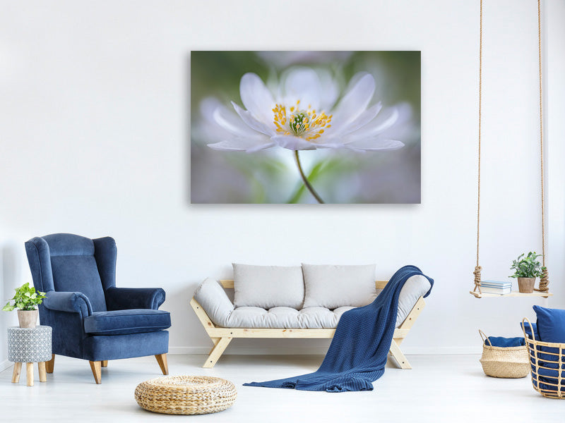 modern-4-piece-canvas-print-nemorosa-nirvana