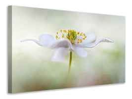 modern-4-piece-canvas-print-nemorosa