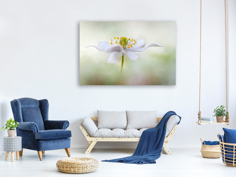 modern-3-piece-canvas-print-nemorosa