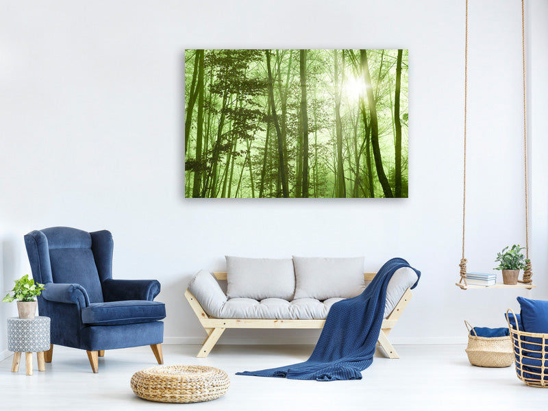 5-piece-canvas-print-nibelungen-forest