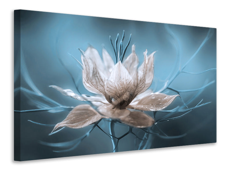 5-piece-canvas-print-nigella