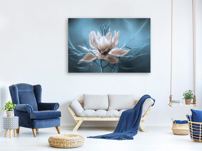 5-piece-canvas-print-nigella