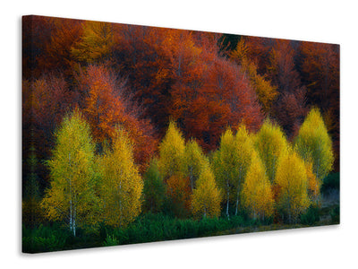 panoramic-3-piece-canvas-print-nimbrethil
