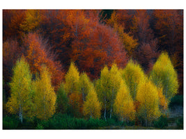panoramic-canvas-print-nimbrethil