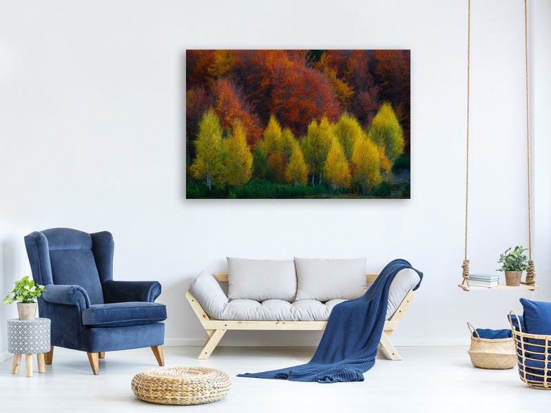 5-piece-canvas-print-nimbrethil