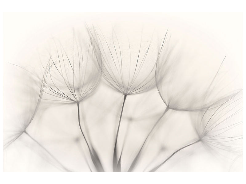 4-piece-canvas-print-no-title
