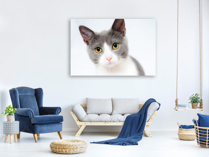 3-piece-canvas-print-noble-cat