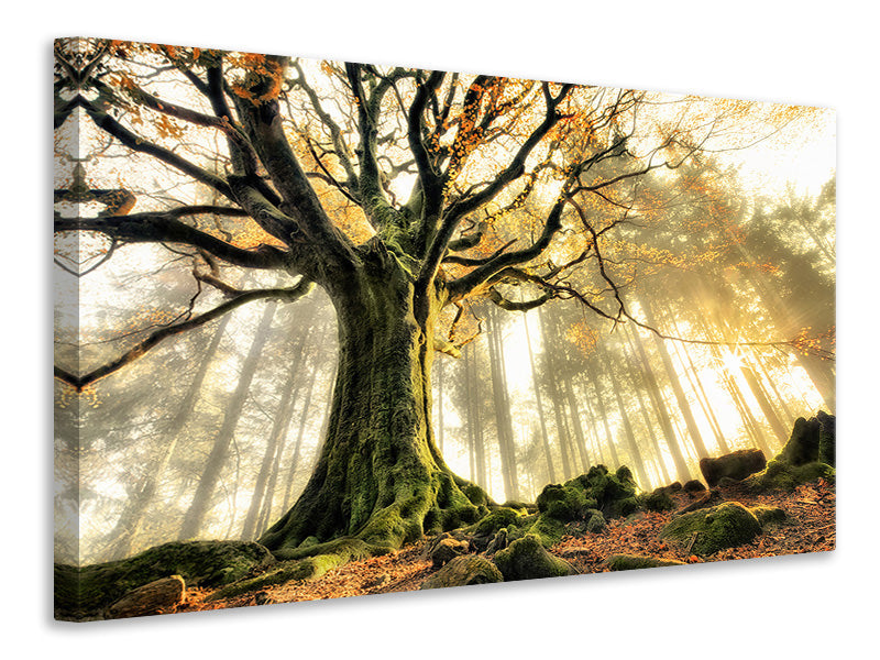 4-piece-canvas-print-november