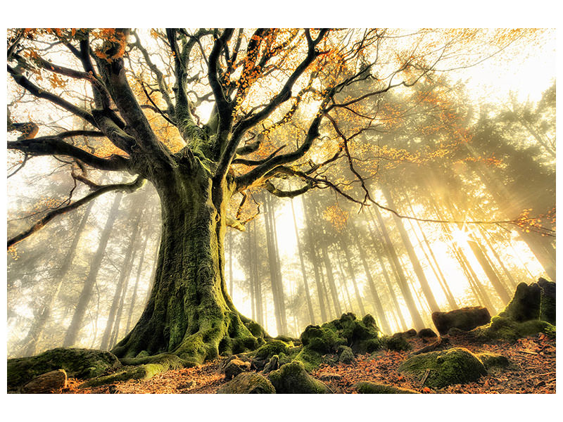 modern-3-piece-canvas-print-november