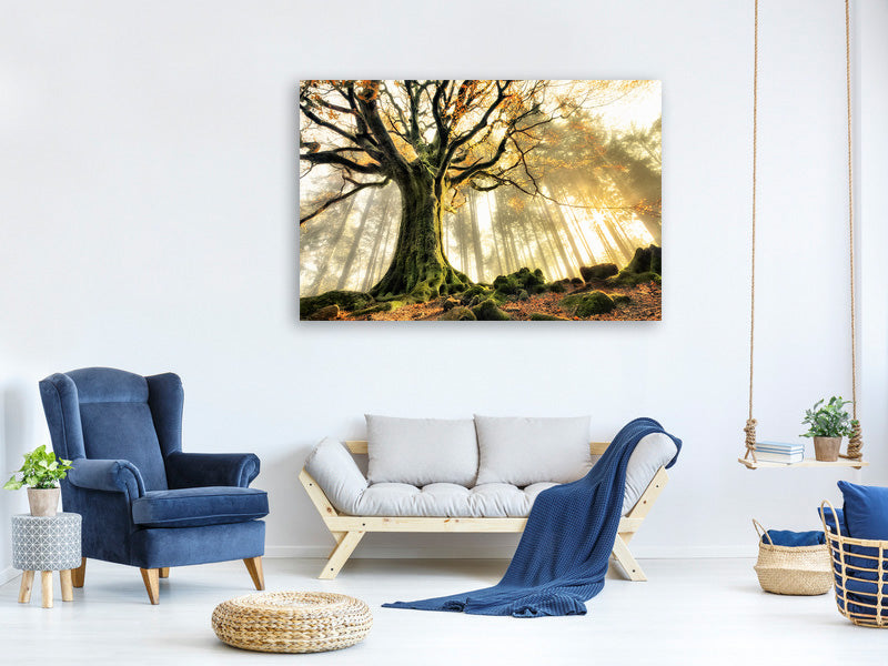 modern-4-piece-canvas-print-november