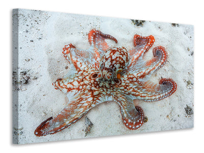 5-piece-canvas-print-octopus-a