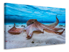 modern-4-piece-canvas-print-octopus