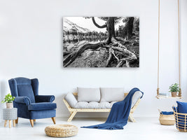4-piece-canvas-print-old-tree