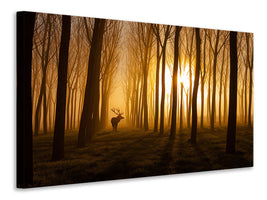 panoramic-canvas-print-once-upon-a-time
