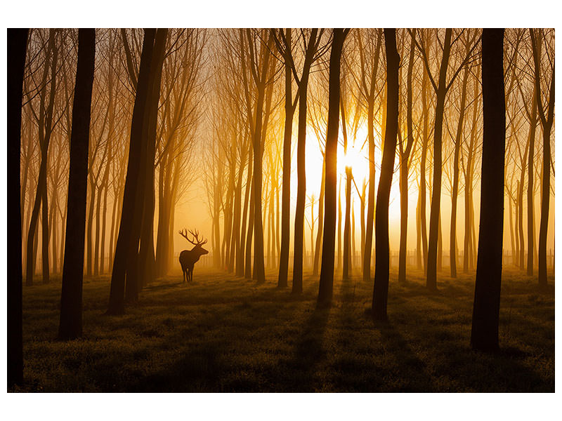 panoramic-3-piece-canvas-print-once-upon-a-time
