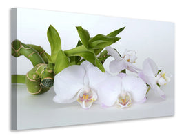 3-piece-canvas-print-orchid-and-bamboo