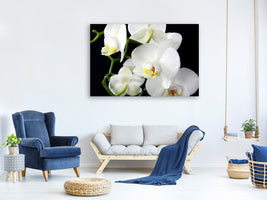 3-piece-canvas-print-orchid-close-up