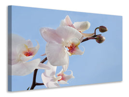 3-piece-canvas-print-orchid-in-the-sky