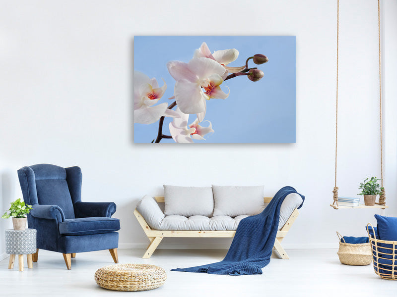 3-piece-canvas-print-orchid-in-the-sky
