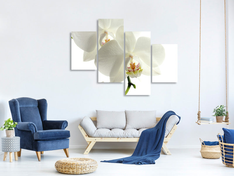 5-piece-canvas-print-orchids-bloom
