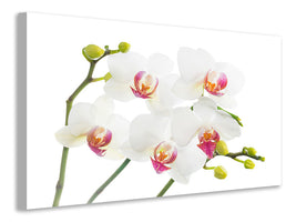 modern-4-piece-canvas-print-orchids-love