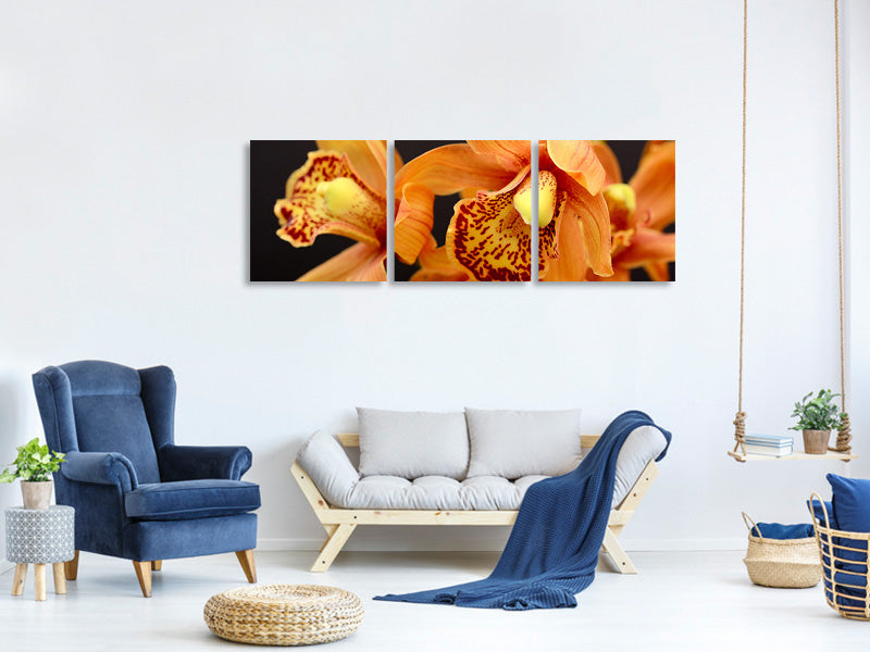 panoramic-canvas-print-orchids-with-orange-flowers