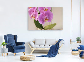3-piece-canvas-print-orchids-with-purple-flowers-in-xl