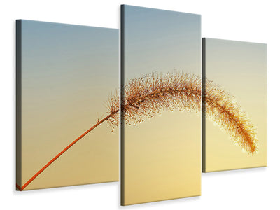 5-piece-canvas-print-ornamental-grass-in-xxl