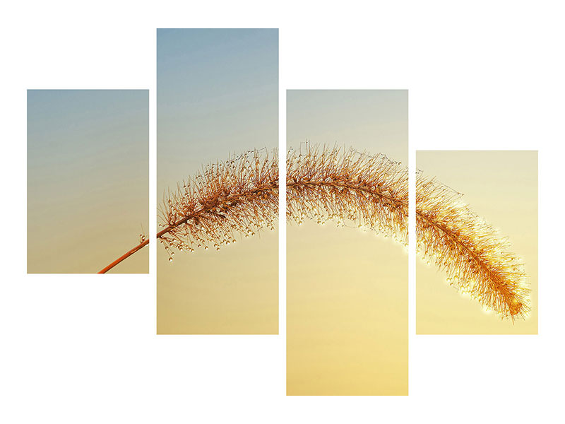 5-piece-canvas-print-ornamental-grass-in-xxl