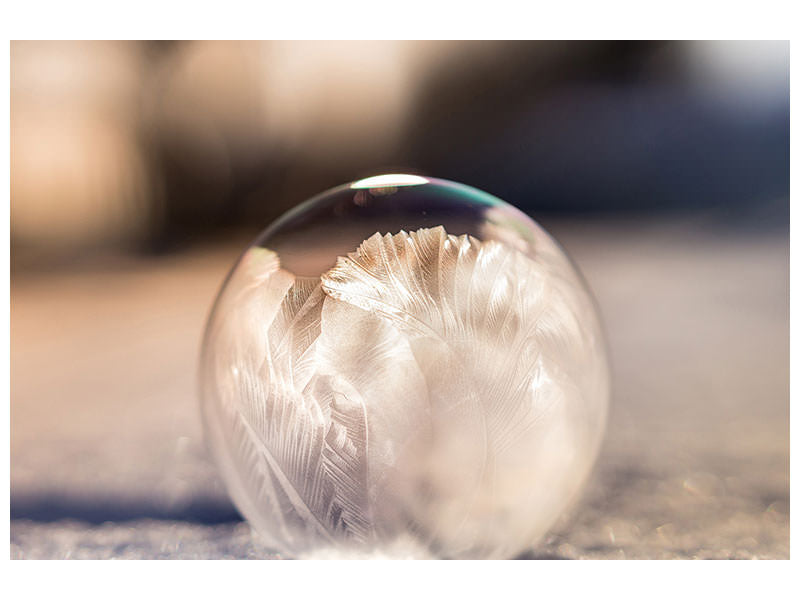 5-piece-canvas-print-ornate-bubble