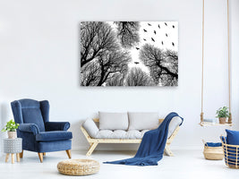5-piece-canvas-print-out-to-the-open