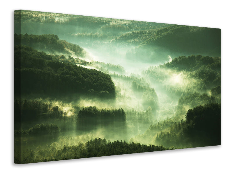 panoramic-3-piece-canvas-print-over-the-woods