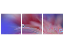 panoramic-3-piece-canvas-print-colorful-explosion