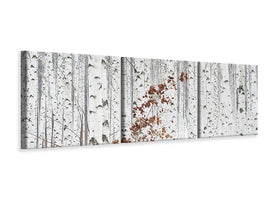 panoramic-3-piece-canvas-print-from-white