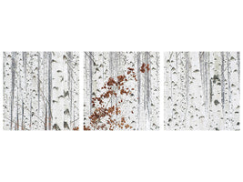 panoramic-3-piece-canvas-print-from-white