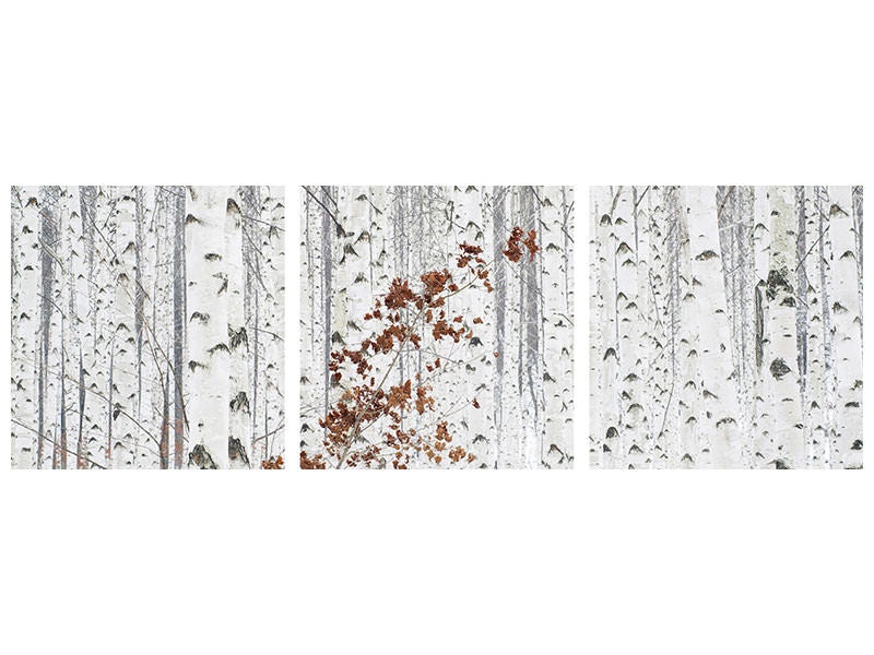 panoramic-3-piece-canvas-print-from-white