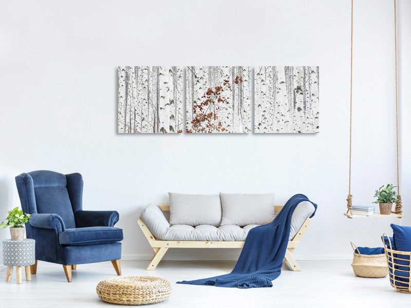 panoramic-3-piece-canvas-print-from-white