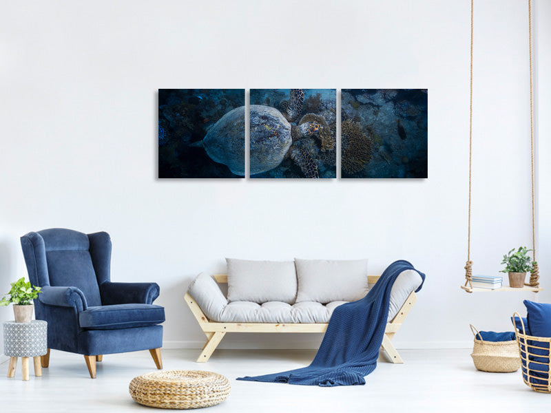 panoramic-3-piece-canvas-print-hawksbill-sea-turtle-ii