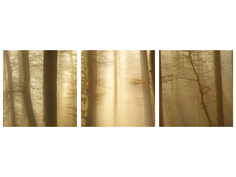 panoramic-3-piece-canvas-print-into-the-trees