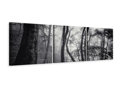 panoramic-3-piece-canvas-print-mysterious-light