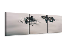 panoramic-3-piece-canvas-print-the-dolphins