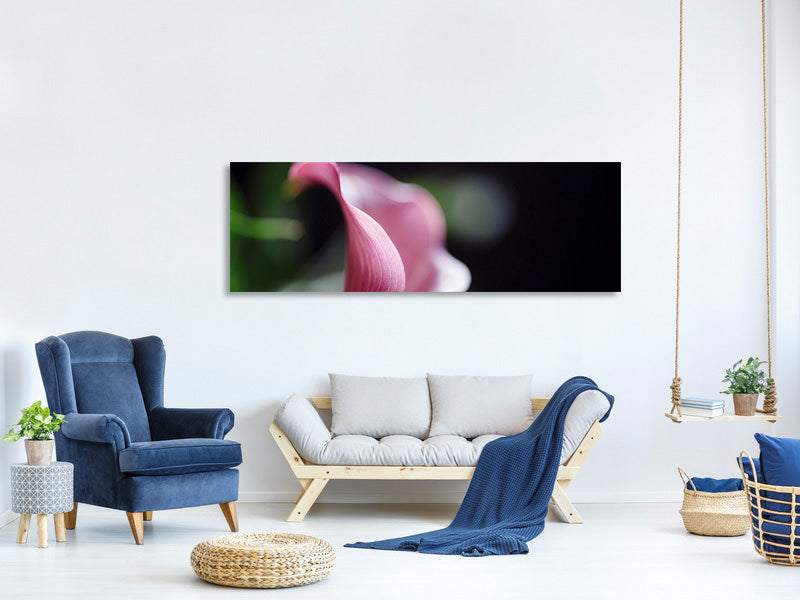 panoramic-canvas-print-calla-in-purple