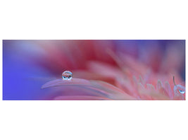 panoramic-canvas-print-colorful-explosion