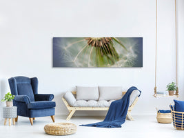 panoramic-canvas-print-dandelion-close-up