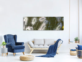 panoramic-canvas-print-ornamental-grasses-in-xl