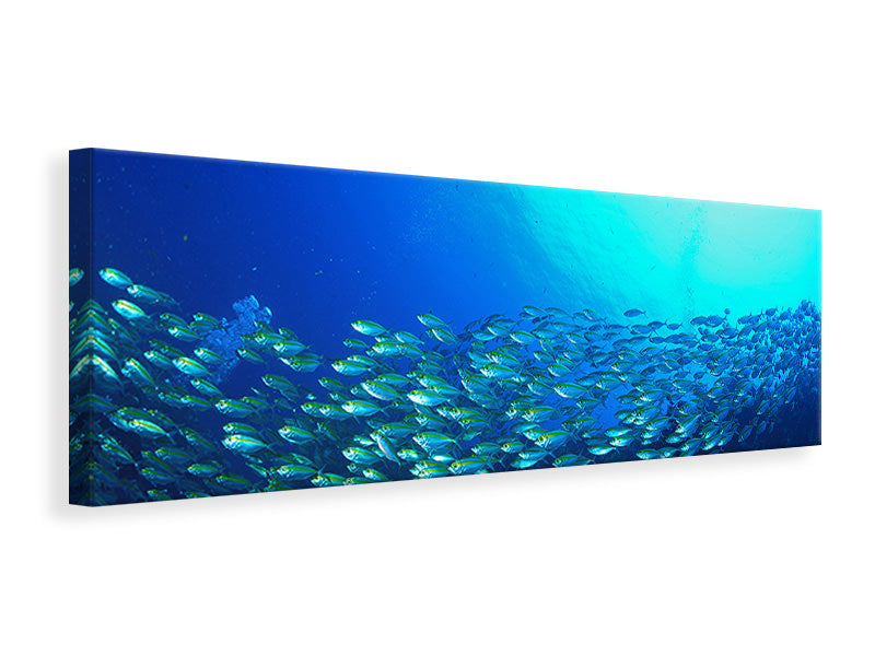 panoramic-canvas-print-shoal-of-fish