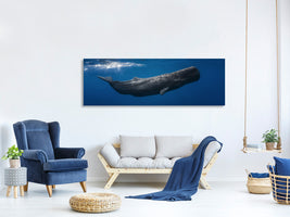 panoramic-canvas-print-sperm-whale