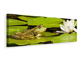 panoramic-canvas-print-the-frog-and-the-water-lily