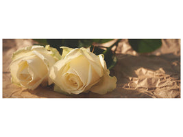 panoramic-canvas-print-the-purity-of-the-roses