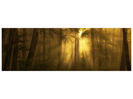 panoramic-canvas-print-yellow-the-bigger-picture